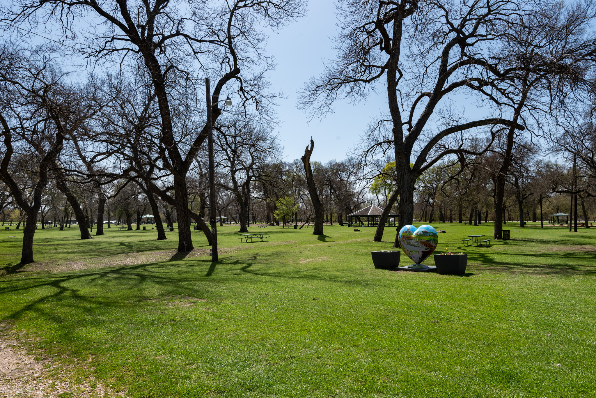 Best places to pack a picnic in Dallas South