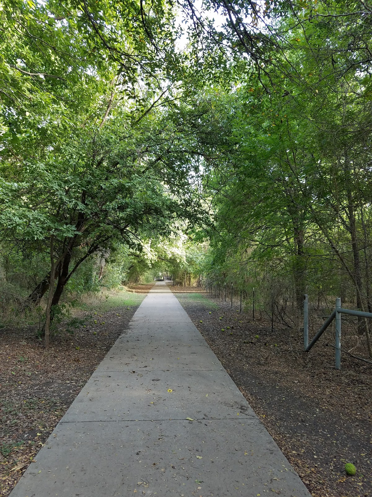 A Guide to Dallas South’s best hiking trails